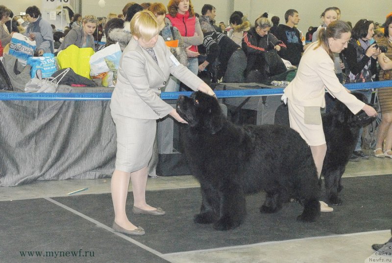 Фотография № 120152