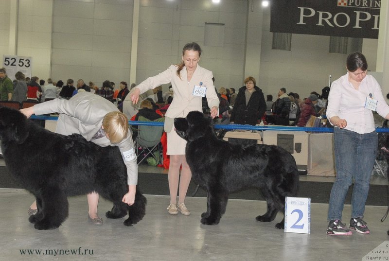 Фотография № 120156