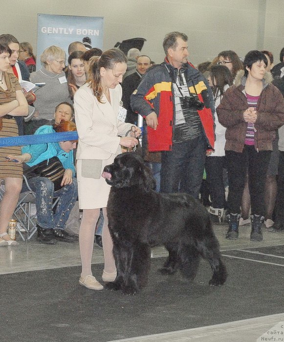 Фотография № 120162