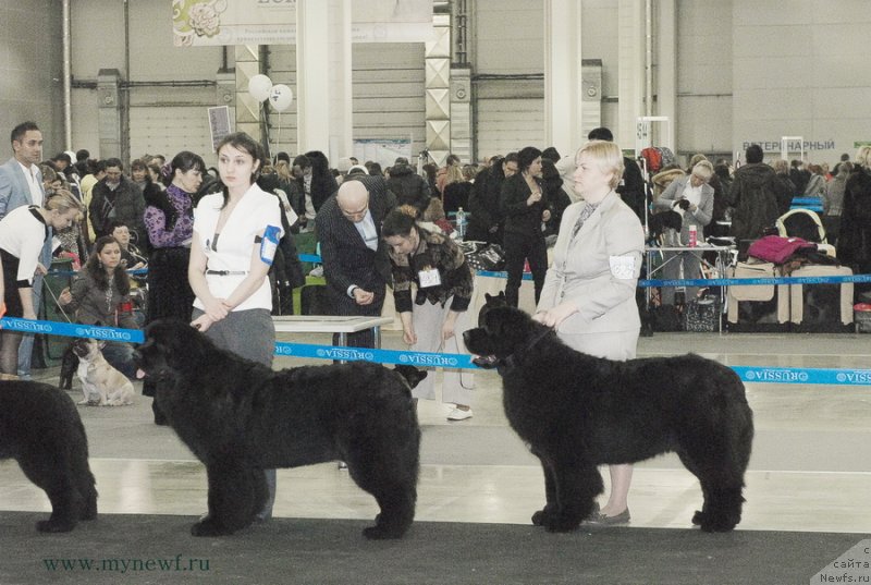 Фотография № 120165