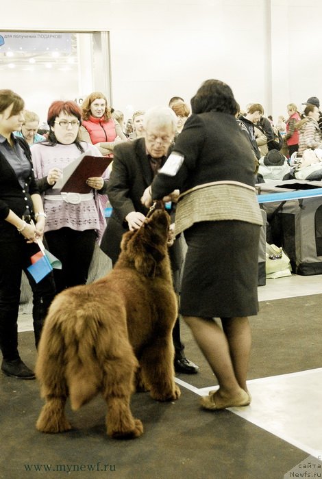 Фотография № 120167