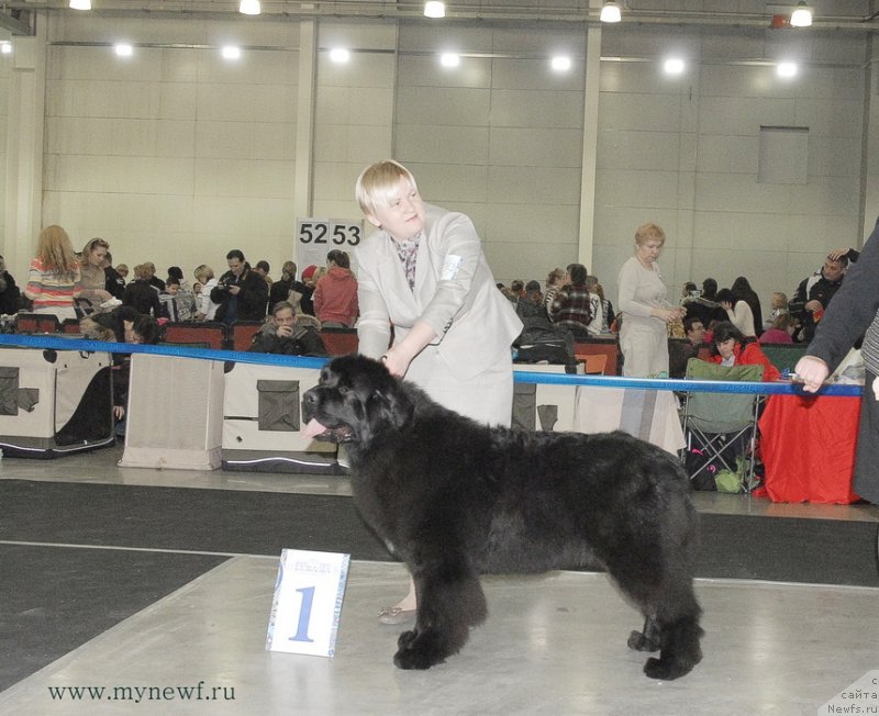 Фотография № 120171