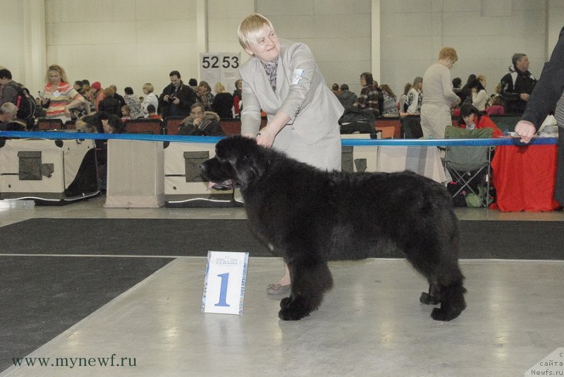 Фотография № 120172