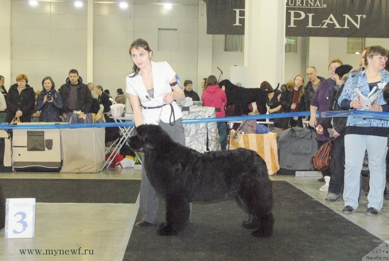 Фотография № 120177