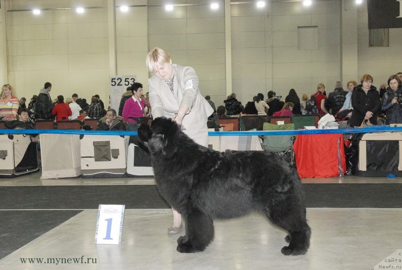 Фотография № 120178