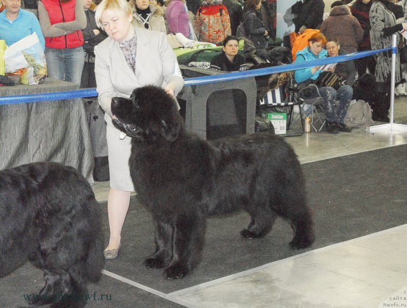 Фотография № 120184