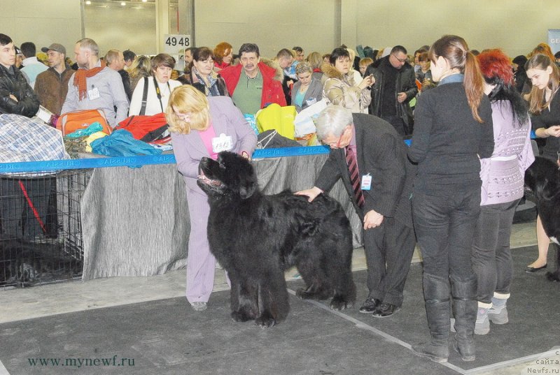 Фотография № 120190