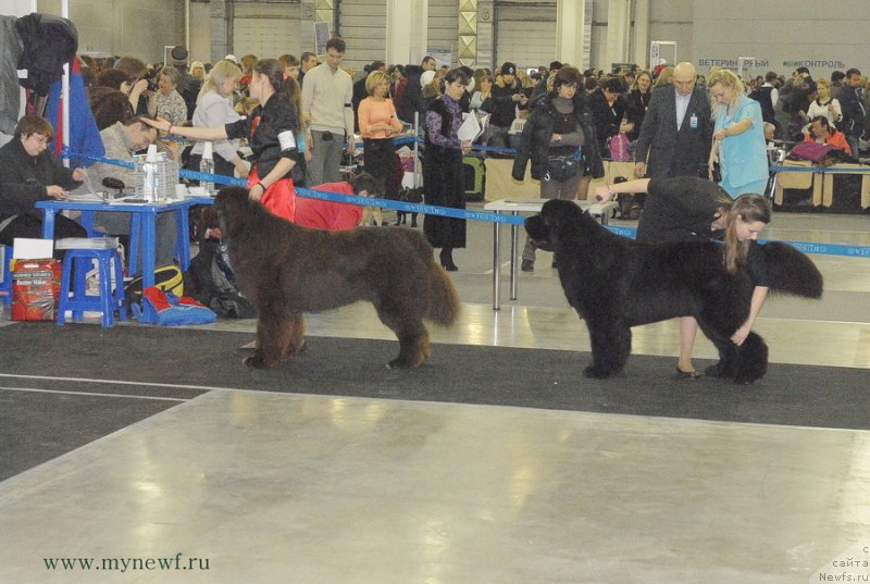 Фотография № 120192