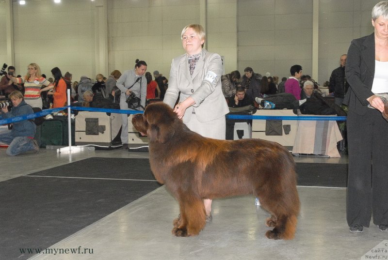 Фотография № 120196