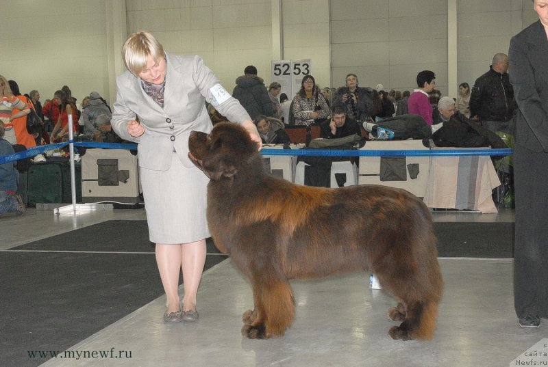 Фотография № 120197