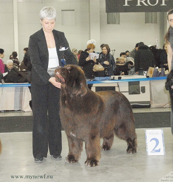 Фотография № 120198