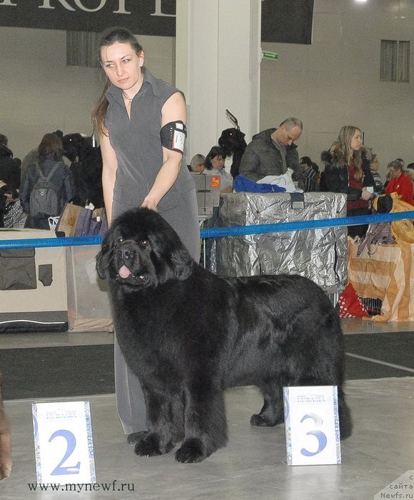 Фотография № 120200