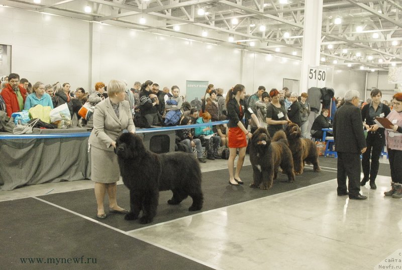 Фотография № 120201