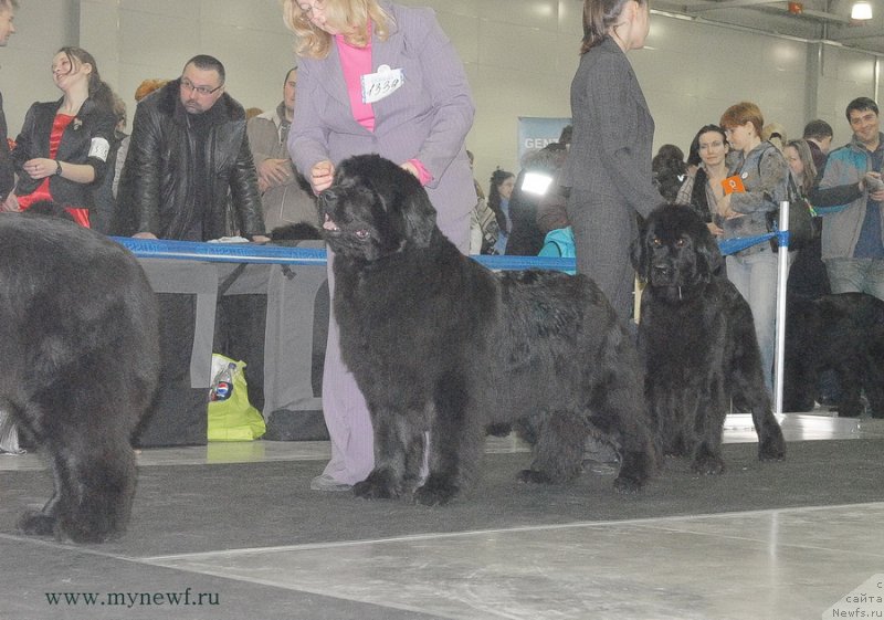 Фотография № 120211