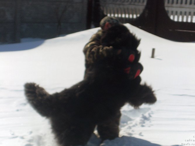 Фотография № 120213