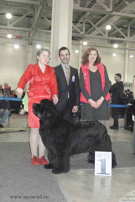 Фотография № 120234