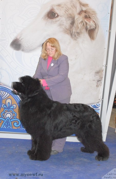 Фотография № 120236