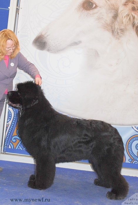 Фотография № 120237