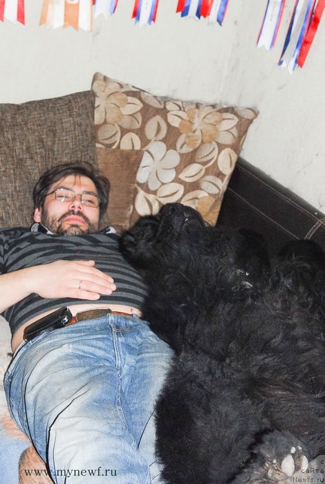 Фотография № 120243