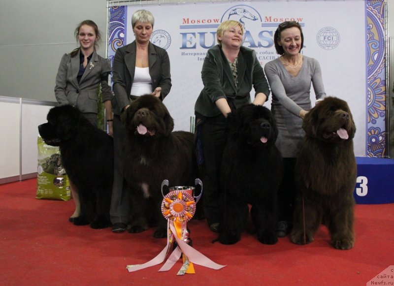 Фотография № 120273