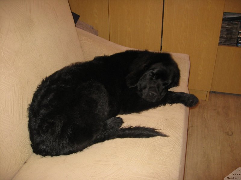 Фото: Потап Оделия