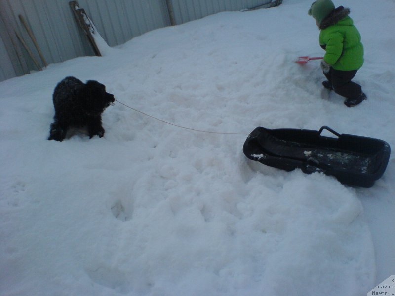 Фотография № 120292