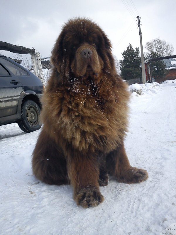 Фотография № 120438