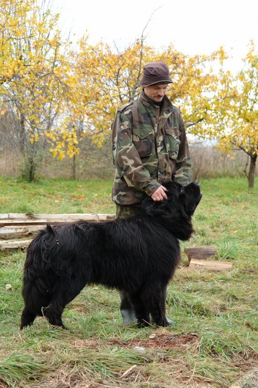 Фотография № 120450