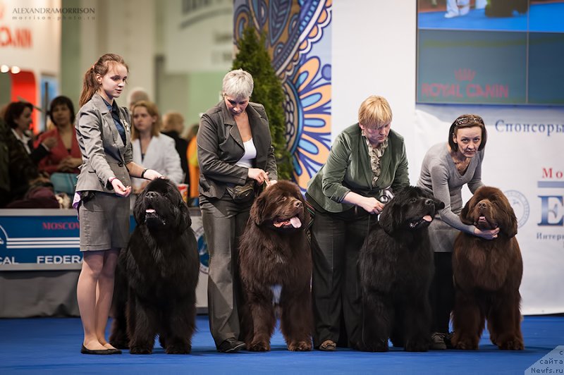 Фотография № 120454