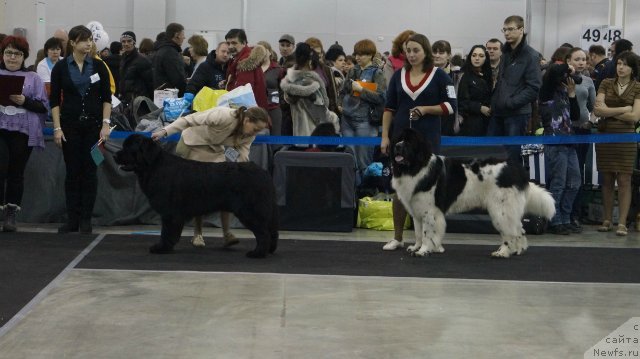 Фотография № 120456