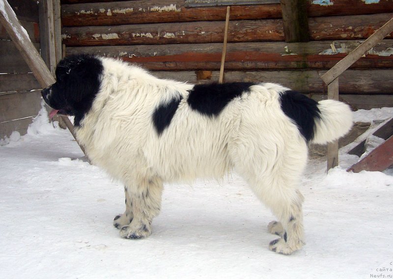 Фотография № 120496