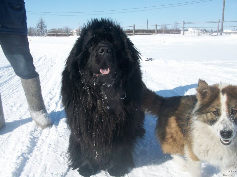 Фотография № 120548