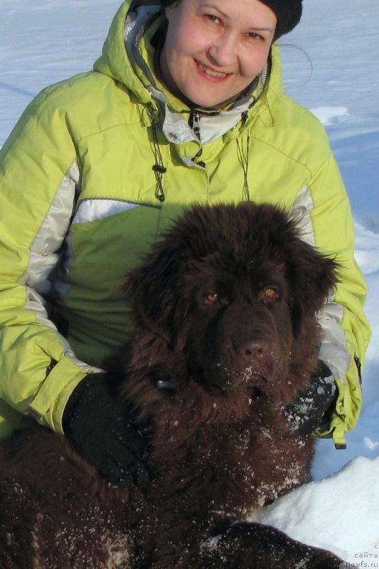Фото: ньюфаундленд Van Len Taym CHilesta (Ван Лен Тайм Чилеста), Oksana Znamenskaya (Оксана Знаменская)