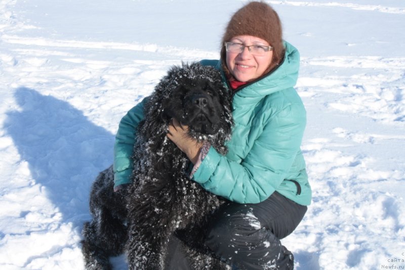 Фото: Elena Kuz'mina (Елена Кузьмина), ньюфаундленд YAvnaya Krasota (Явная Красота)
