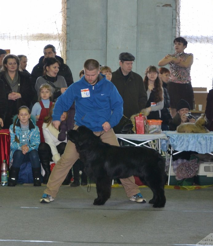 Фотография № 120605