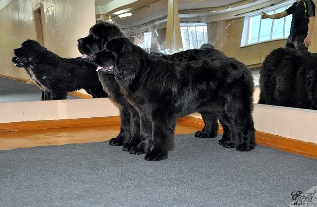 Фотография № 120640