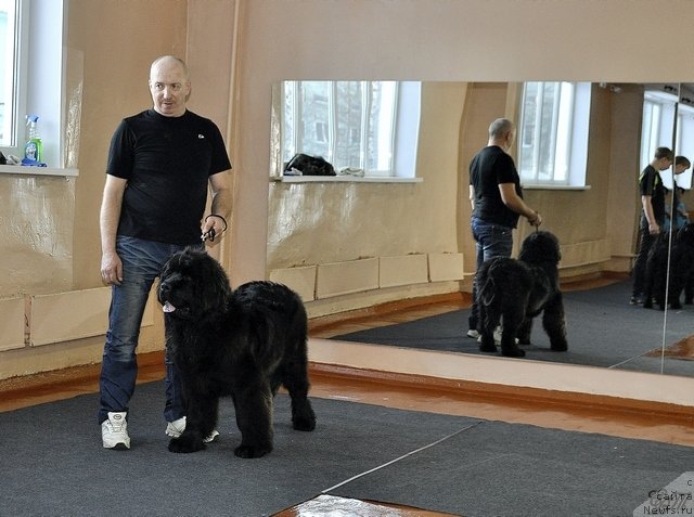 Фотография № 120641