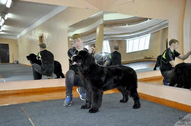 Фотография № 120642