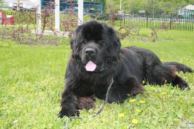 Фотография № 12067