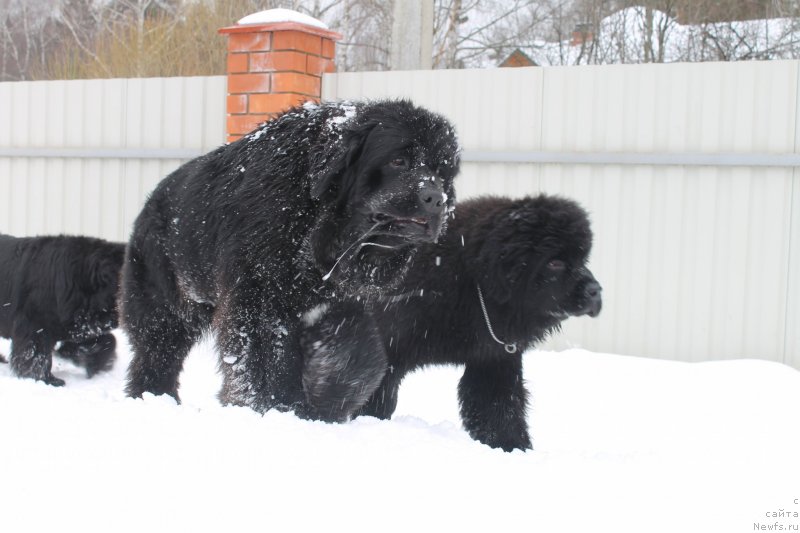 Фотография № 120703