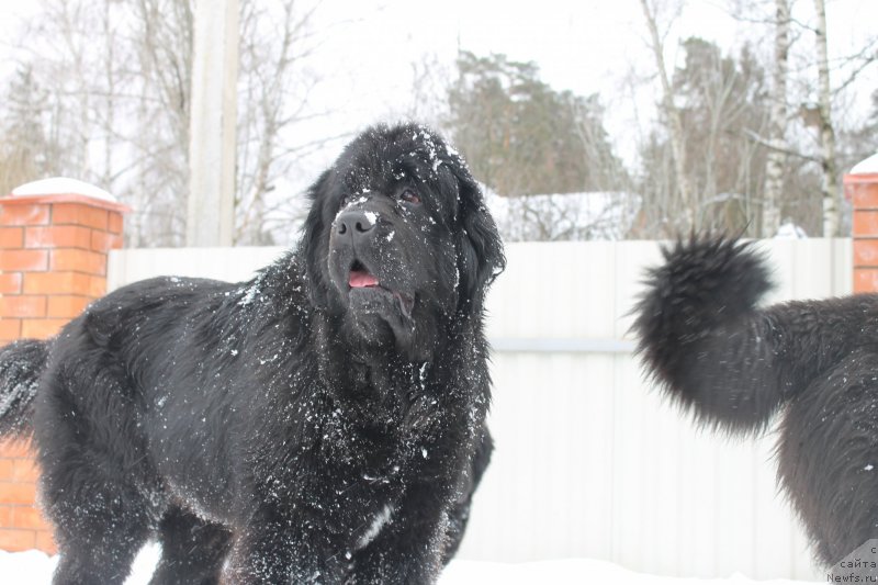 Фотография № 120704