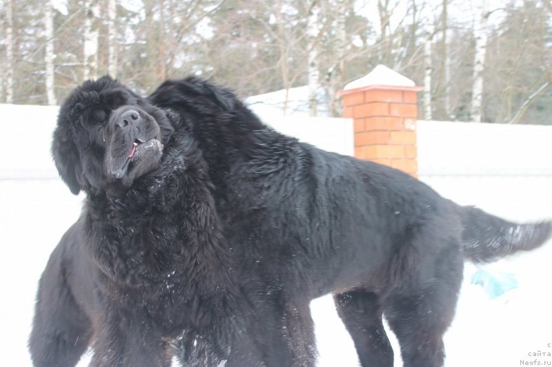 Фотография № 120706