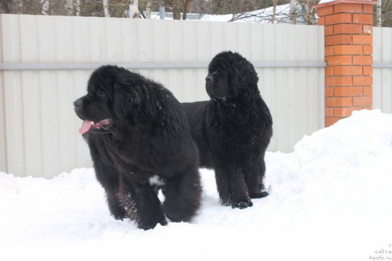 Фотография № 120707