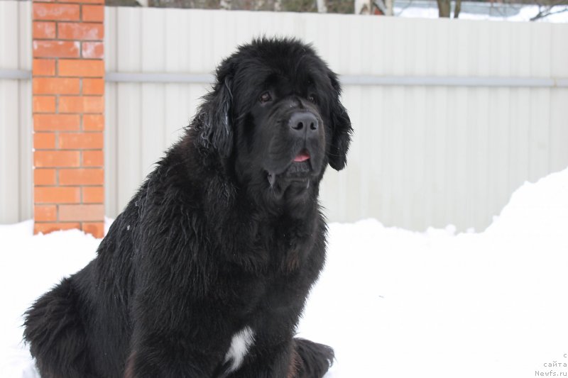 Фотография № 120710