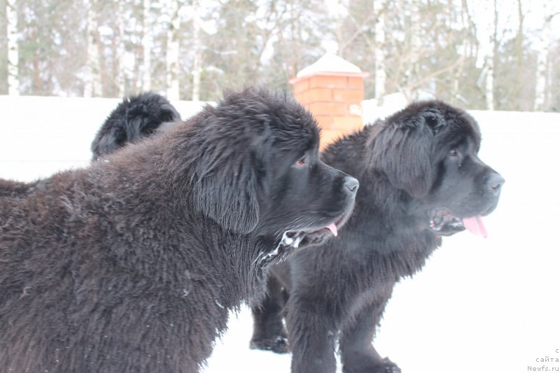 Фотография № 120711