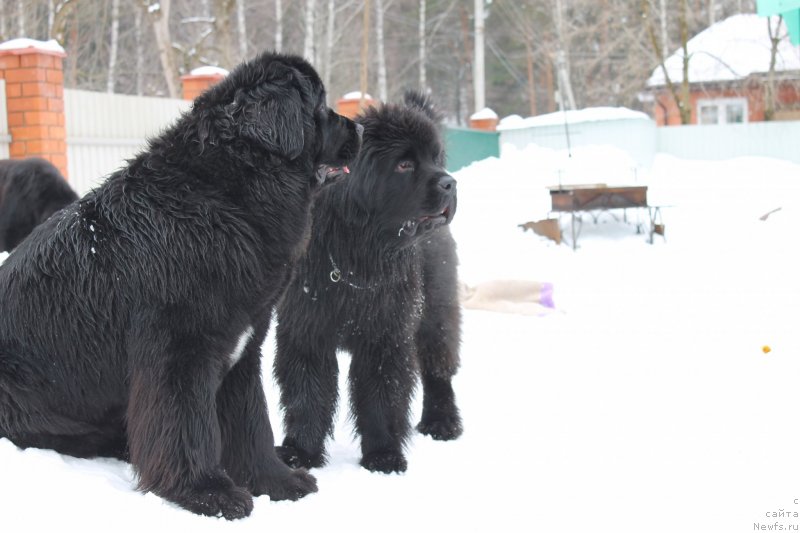 Фотография № 120717