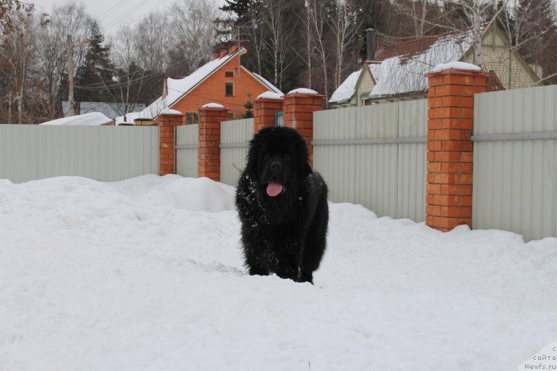 Фотография № 120719