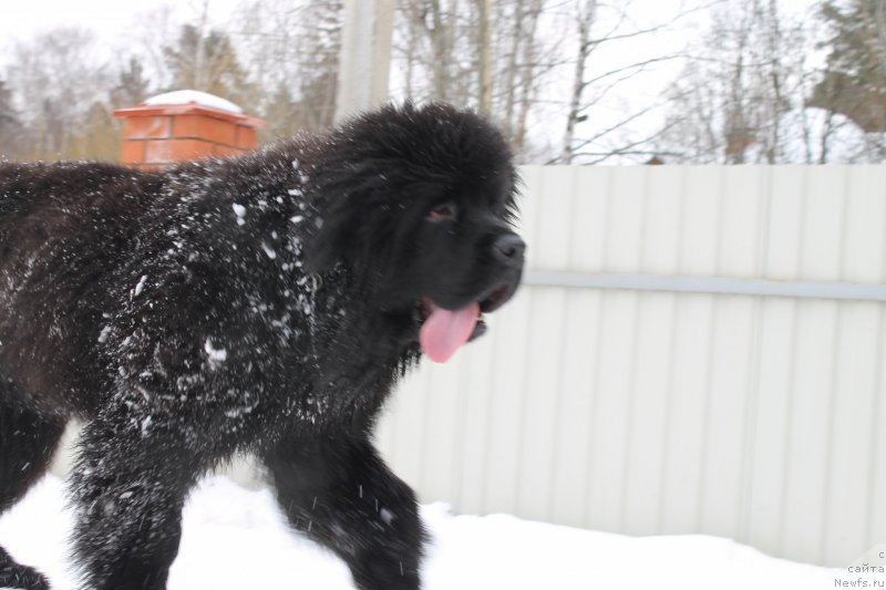 Фотография № 120720