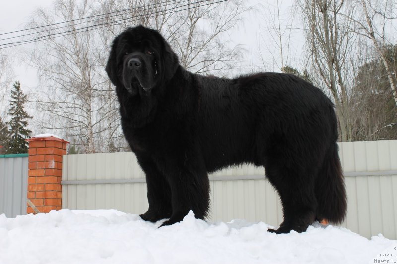 Фотография № 120722