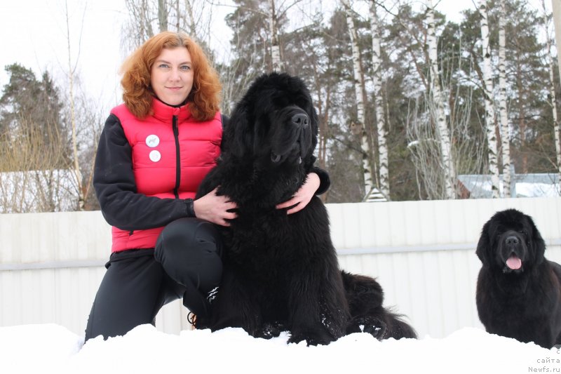 Фото: ньюфаундленд Zholli Wonderfull iz Medvejyego Yara (Жолли Вандерфулл из Медвежьего Яра), Elizaveta Safiullina (Елизавета Сафиуллина), ньюфаундленд Vom Waterfall Land Aya (Вом Ватерфалл Лэнд Айя)